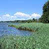 images/Schweden/Schweden 2010/IMG_9829.jpg